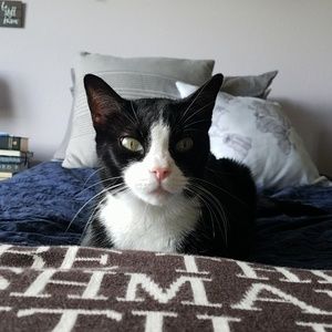 Meet your Posher, Allison